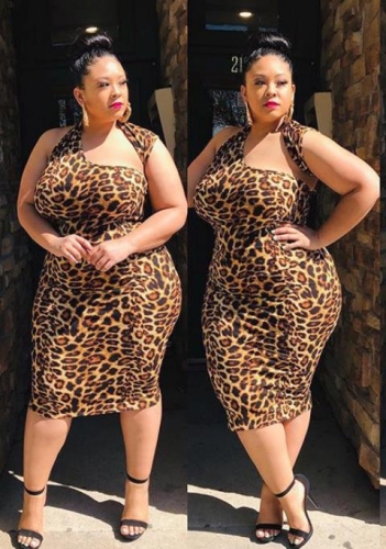 Charming Leopard irregular Plus size dress