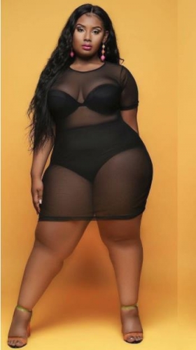 Charming  Mesh Plus size  Dress