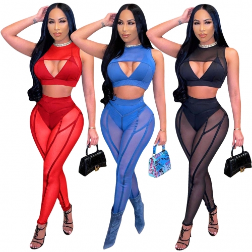 Mesh perspective two piece set