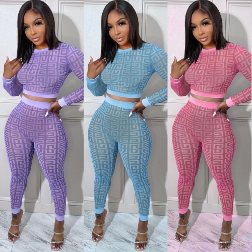 Fashion Print Tight Two Piece Pant Set