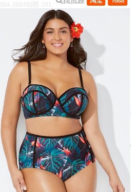 Plus size floral print bikini set