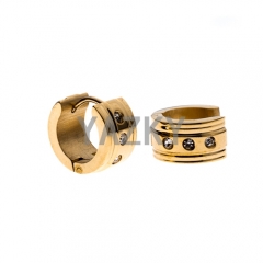Stainless steel earring  with CZ-Gold color