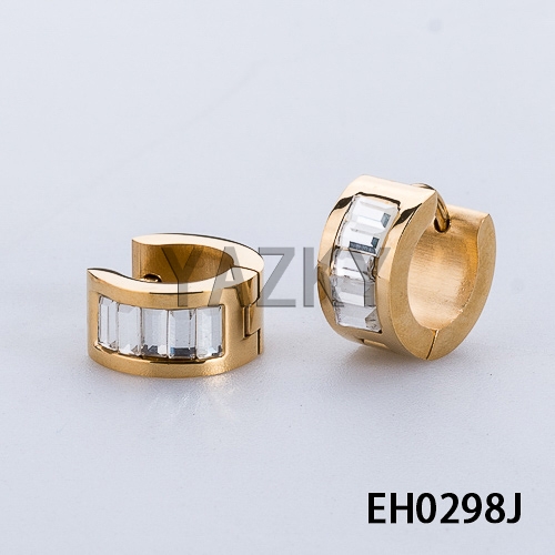 Fashion stainless steel earring