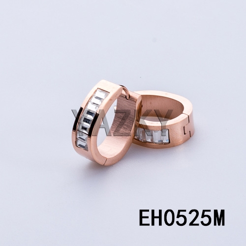 Fashion stainless steel earring