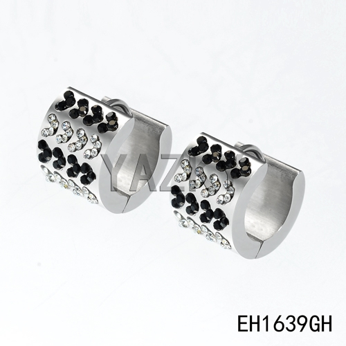 Fashion stainless steel earring