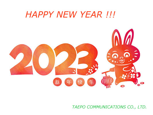 A cheery New Year hold lots of happiness for you !