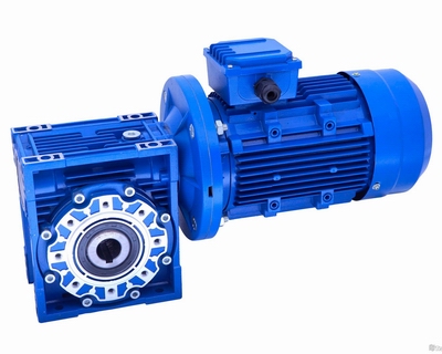 worm gear reducer