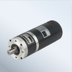 Planetary gear motor