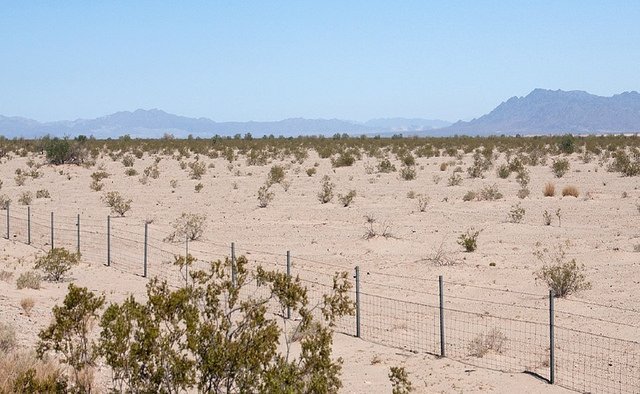 El proyecto solar Palen de $ 1B obtiene la aprobación de la Fed para 500 MW fotovoltaicos, Side-Steps California Energy Commission