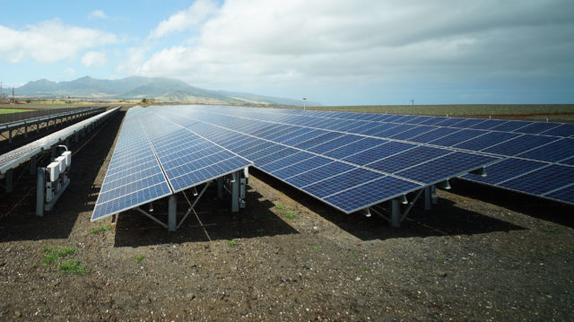 Ein großer Entwickler von Solarparks zieht sich aus den Projekten auf Maui und Oahu zurück