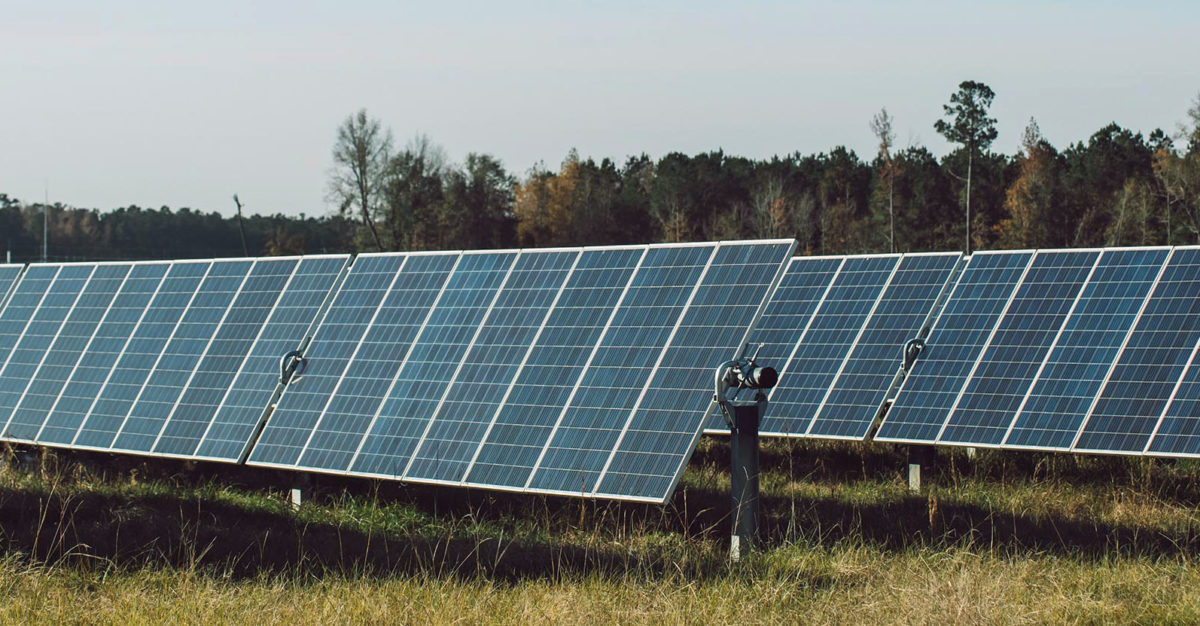 El agregador de opciones comunitarias sin fines de lucro activa un proyecto solar de 73 MW