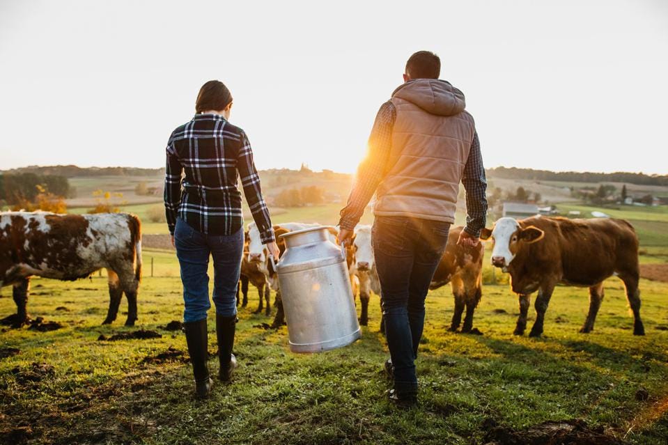 A crescente necessidade de dados na agricultura