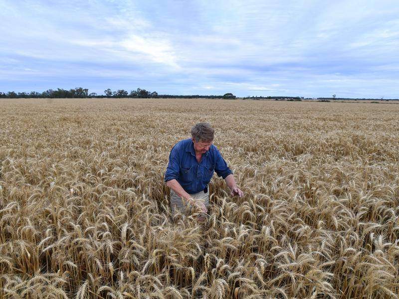 Record crops deliver big agriculture gains