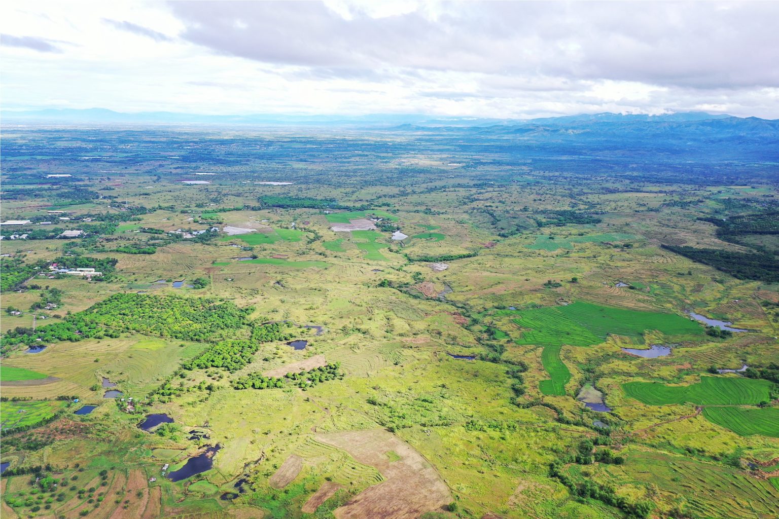 Mantener la agricultura creciendo hacia adelante