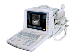 Full Digital Veterinary Ultrasound Scanner YSD1300Vet