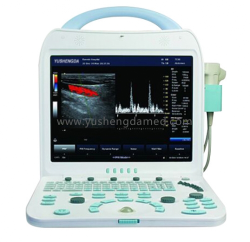 Handheld Portable Color Doppler Ultrasound System YSD350