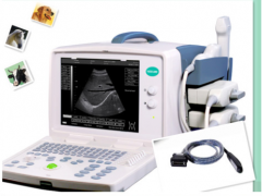 Digital Veterinary Portable Ultrasound Scanner System Ysd1200-Vet
