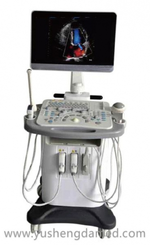 Ysd810 Full Digital 3D 4D Color Doppler Ultrasound Machine System