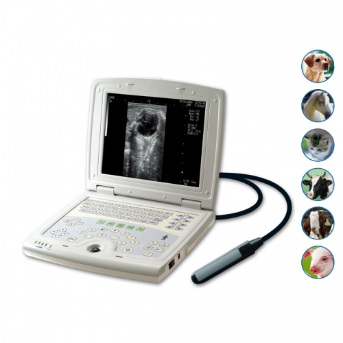 Digital Laptop Ultrasound YSD4000A-Vet