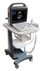 3D laptop/portable color Doppler ultrasound scanner YSD290