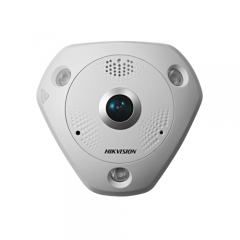 6 MP IR Network Fisheye Camera DS-2CD6365G0E-IVS