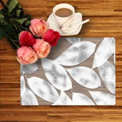 30*43cm vinyl pet food placemat, pet placemat antibacterial, semi transparent placemat disposable