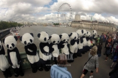 Happy Island 108 Panda Mascot Costume Tai Chi in London Square