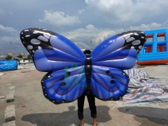 Inflatable Butterfly