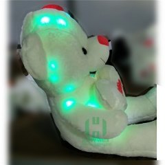 LED Teddy Bear with Heart