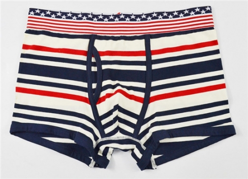 Men's Trunk Shorts