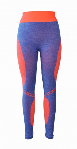 Seamless Sports Leggings