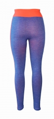 Seamless Sports Leggings