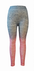 Seamless Sports Leggings