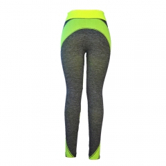 Seamless Sports Leggings