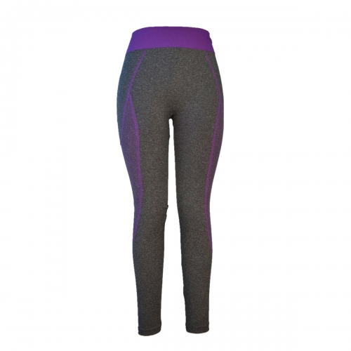 Seamless Sports Leggings