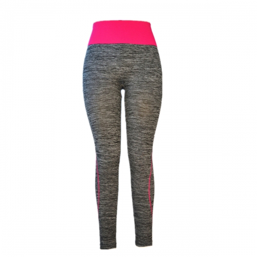 Seamless Sports Leggings