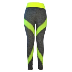 Seamless Sports Leggings