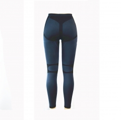 Seamless Sports Leggings