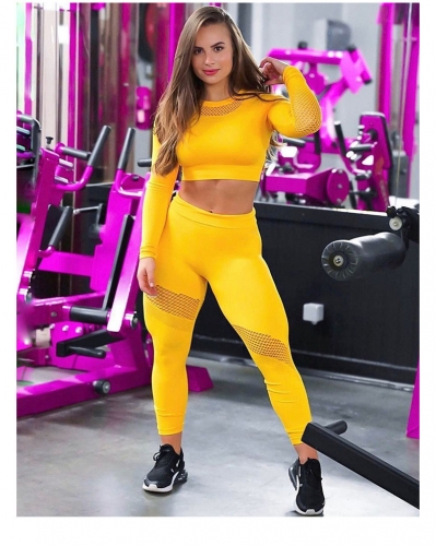 Seamless Sports Long-Sleeve 2PC Set