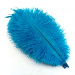 Lake Blue Ostrich Feathers