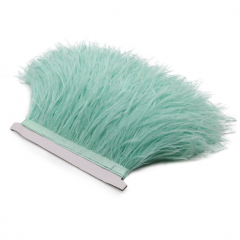 3-4 Inches Mint Ostrich Feather Trim