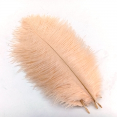 Champagne Ostrich Feathers