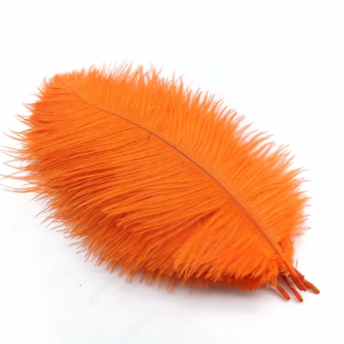 Orange Ostrich Feathers
