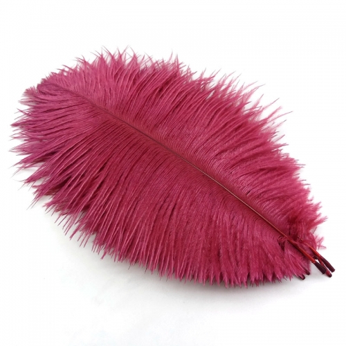 Wine Red Ostrich Feathers