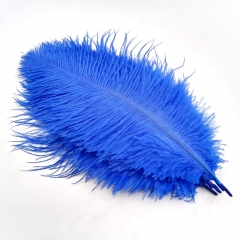 Blue Ostrich Feathers
