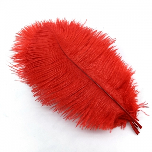 Red Ostrich Feathers