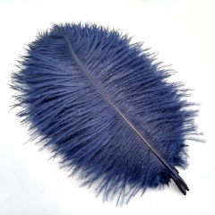 Navy Blue Ostrich Feathers