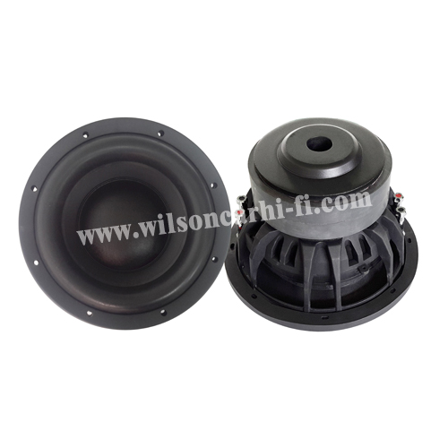 10 inch Subwoofer