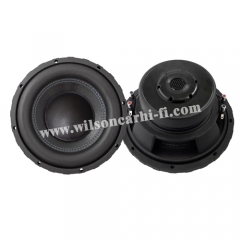 12 inch Subwoofer