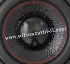 12 inch Subwoofer